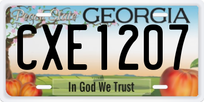 GA license plate CXE1207