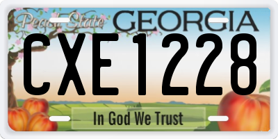 GA license plate CXE1228
