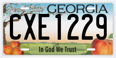 GA license plate CXE1229