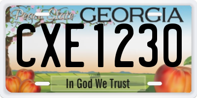 GA license plate CXE1230