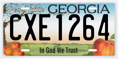 GA license plate CXE1264