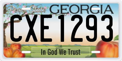 GA license plate CXE1293