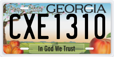 GA license plate CXE1310