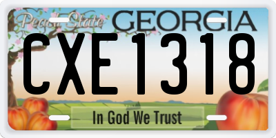 GA license plate CXE1318