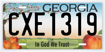 GA license plate CXE1319