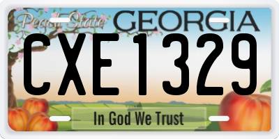 GA license plate CXE1329