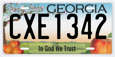 GA license plate CXE1342