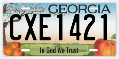 GA license plate CXE1421