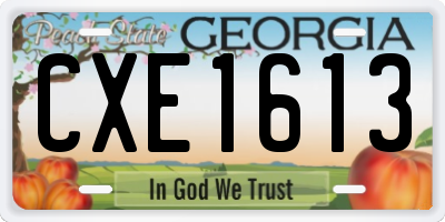 GA license plate CXE1613