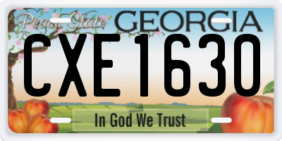 GA license plate CXE1630