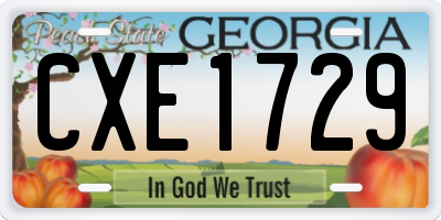 GA license plate CXE1729