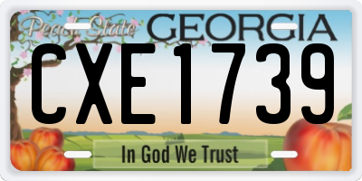GA license plate CXE1739