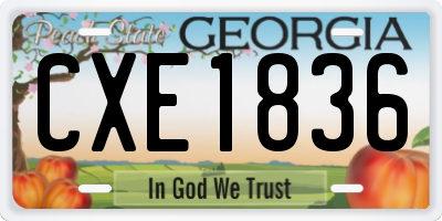 GA license plate CXE1836
