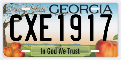 GA license plate CXE1917