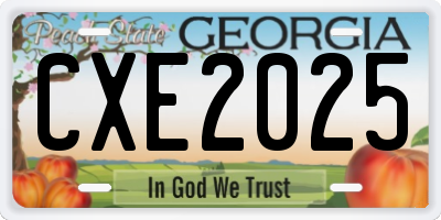 GA license plate CXE2025