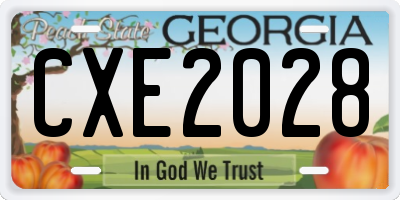 GA license plate CXE2028