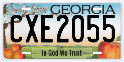 GA license plate CXE2055