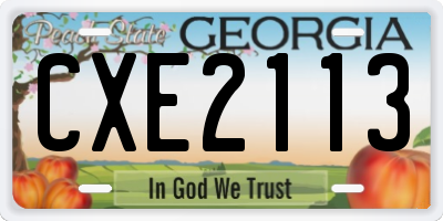 GA license plate CXE2113