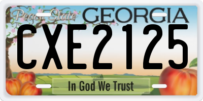 GA license plate CXE2125