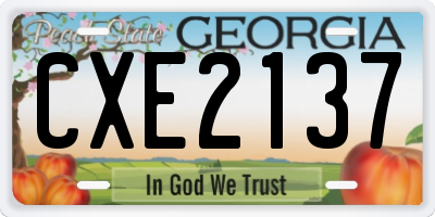 GA license plate CXE2137