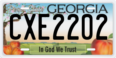GA license plate CXE2202