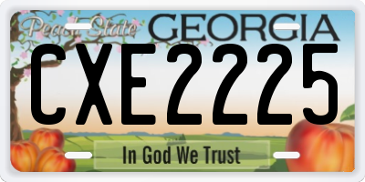 GA license plate CXE2225