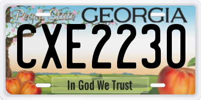 GA license plate CXE2230