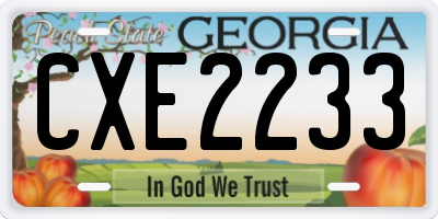 GA license plate CXE2233