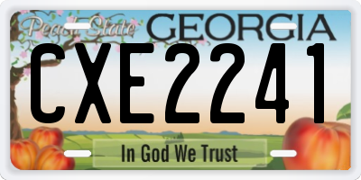 GA license plate CXE2241