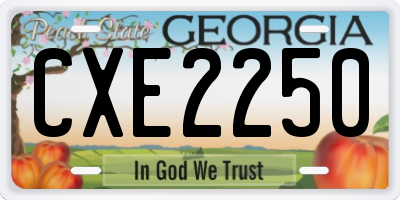 GA license plate CXE2250