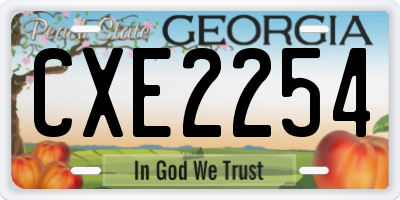GA license plate CXE2254