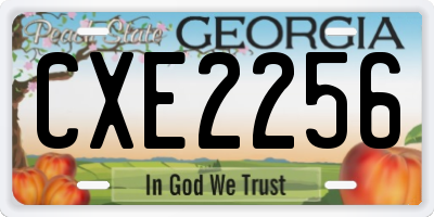 GA license plate CXE2256