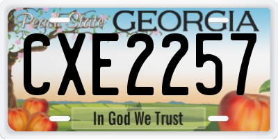 GA license plate CXE2257