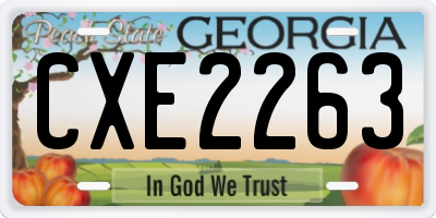 GA license plate CXE2263