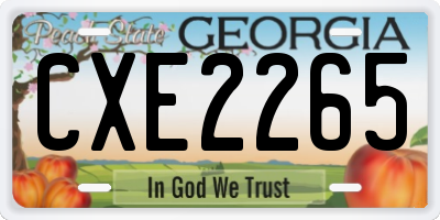 GA license plate CXE2265