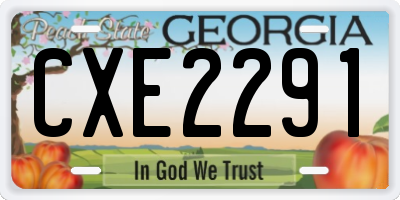 GA license plate CXE2291