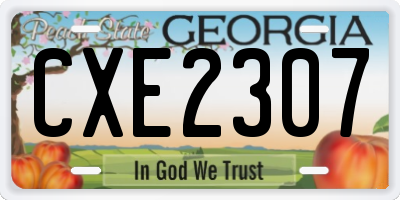 GA license plate CXE2307