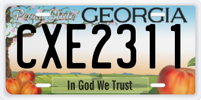 GA license plate CXE2311