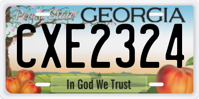 GA license plate CXE2324