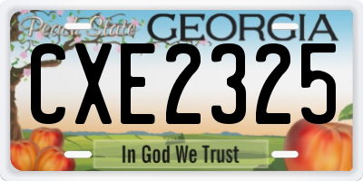 GA license plate CXE2325