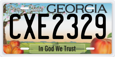 GA license plate CXE2329