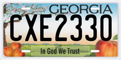 GA license plate CXE2330
