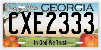 GA license plate CXE2333