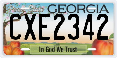 GA license plate CXE2342