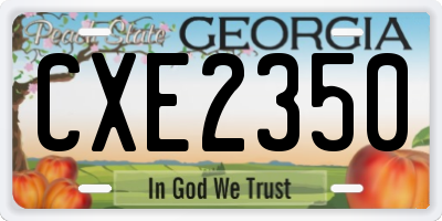 GA license plate CXE2350