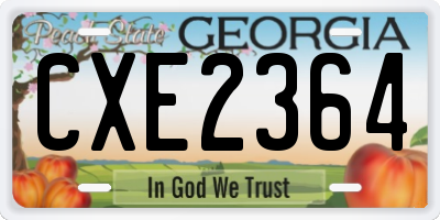 GA license plate CXE2364