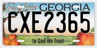 GA license plate CXE2365