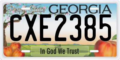 GA license plate CXE2385
