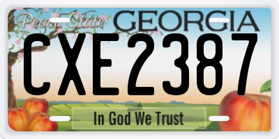 GA license plate CXE2387