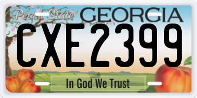 GA license plate CXE2399
